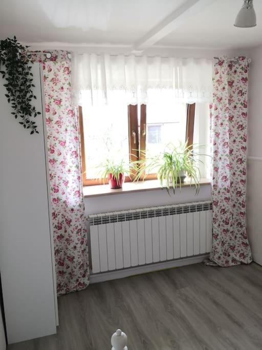 הוילה Jankowice  Red Bed מראה חיצוני תמונה